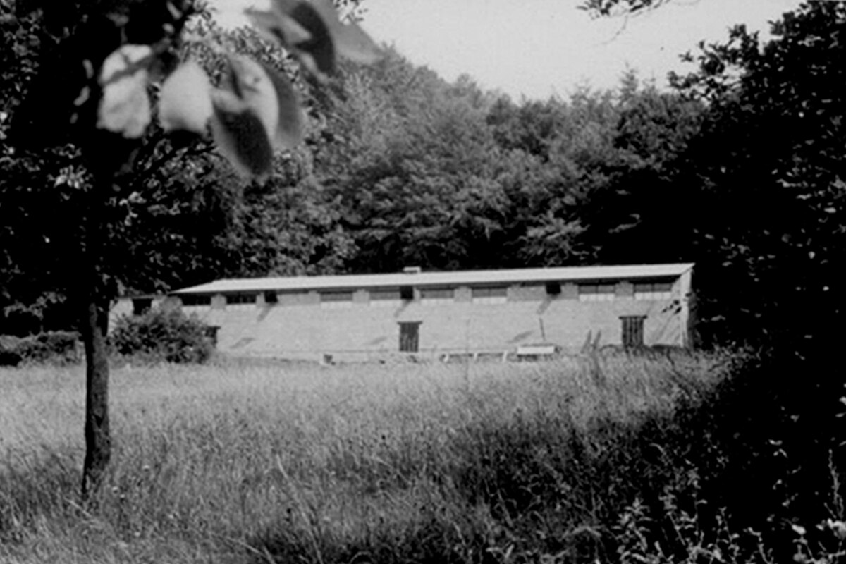 Hühnerfarm außen 1961  